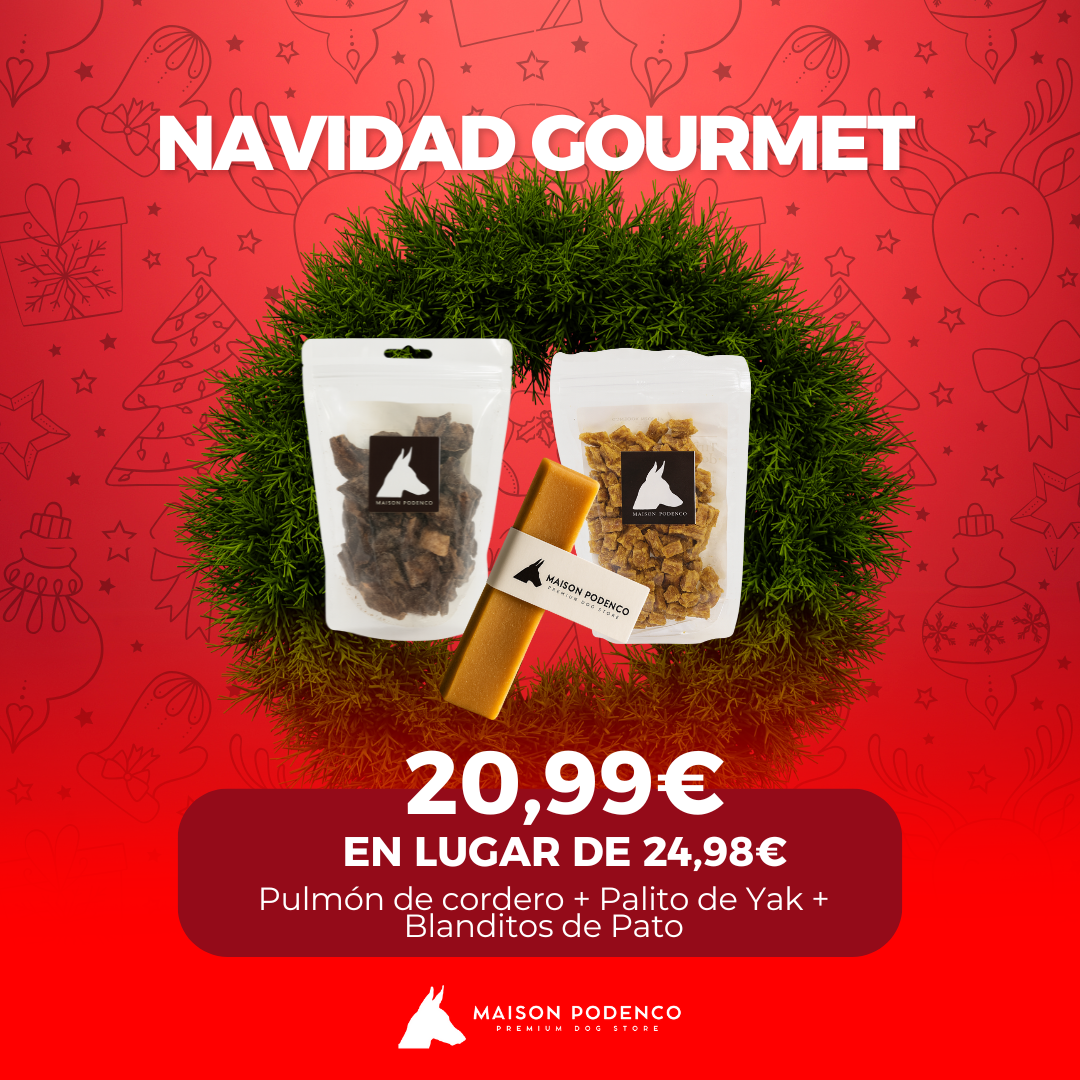 Navidad Gourmet