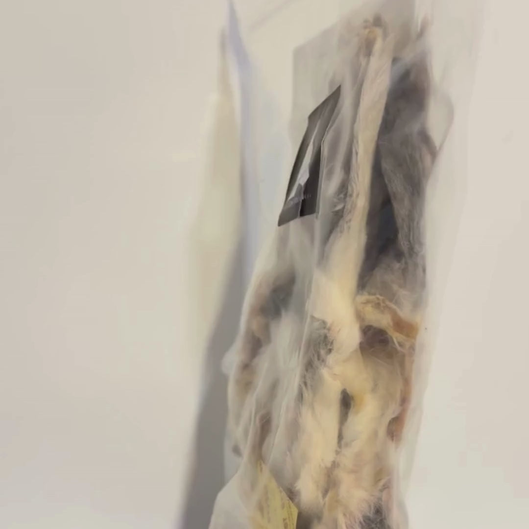 Orejas de conejo con pelo